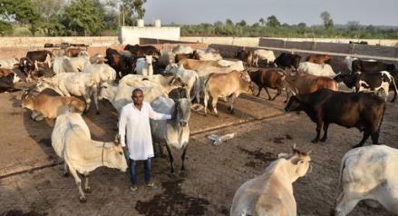 गोहत्या प्रतिबंधक कायद्यावर राष्ट्रपतींची स्वाक्षरी गोहत्या प्रतिबंधक कायद्यावर राष्ट्रपतींची स्वाक्षरी