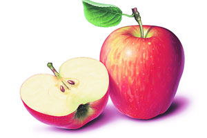 खऱ्या फळांच्या शोधात! खऱ्या फळांच्या शोधात!