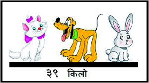 डोकॅलिटी