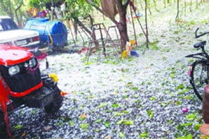 उत्तर महाराष्ट्रात पुन्हा गारपीट उत्तर महाराष्ट्रात पुन्हा गारपीट