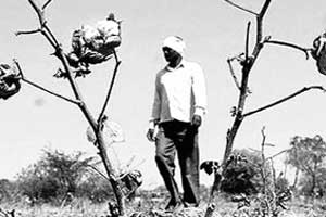आत्महत्या रोखण्यासाठी ग्राम समित्या आत्महत्या रोखण्यासाठी ग्राम समित्या