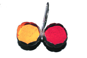 ‘हळदी-कुंकू’साठी दोन लाखांची उधळपट्टी ‘हळदी-कुंकू’साठी दोन लाखांची उधळपट्टी