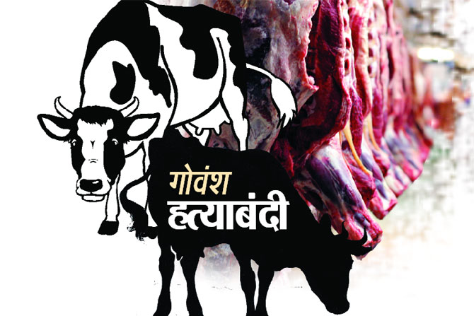 गोवंश हत्याबंदी कायदा कशासाठी? गोवंश हत्याबंदी कायदा कशासाठी?