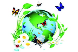 पर्यावरण, परिस्थितिकी, जैवविविधता