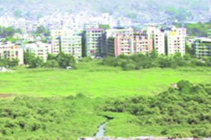 कळवा चौपाटीचा मार्ग मोकळा कळवा चौपाटीचा मार्ग मोकळा