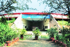 मुंबईकरांचे उद्यान खासगी कंपनीच्या ‘मुठीत’