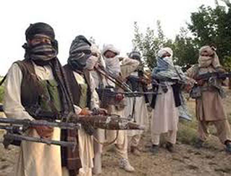 पाकिस्तानातील दहशतवादी हल्ल्यात ४७ जणांचा मृत्यू पाकिस्तानातील दहशतवादी हल्ल्यात ४७ जणांचा मृत्यू