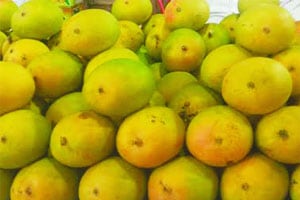 आता ‘नमोआम’ आंबे