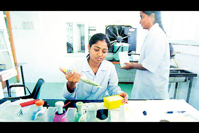 नायडू आणि कमला नेहरू रुग्णालयात डेंग्यू चाचण्या सुरू करण्याचा राज्याचा प्रस्ताव