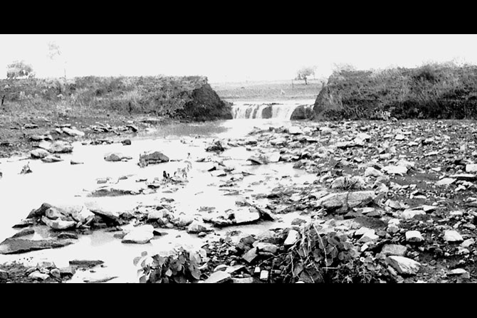 बोडखीमधील बांध फुटल्याने ५० एकरांतील पीक भुईसपाट बोडखीमधील बांध फुटल्याने ५० एकरांतील पीक भुईसपाट