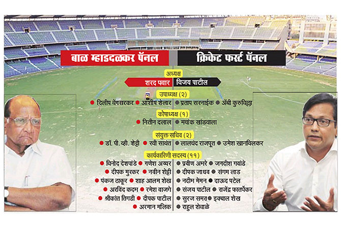 एमसीएचे अध्यक्षपद कायम राखण्यात शरद पवारांना यश एमसीएचे अध्यक्षपद कायम राखण्यात शरद पवारांना यश