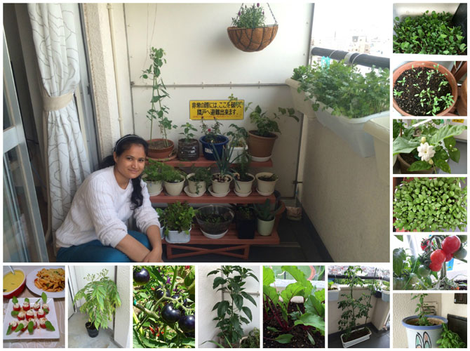 अपेक्षा घोलप, टोक्यो , जपान. सध्या मी आणि माझे पती निशीकसाई तोक्यो , जपानला राहतो, मूळचे पुणे जुन्नरचे . दोन वर्षापूर्वी तोक्योला आलो. गरज हि शोधाचीच नव्हे तर बागेची जननी असते हे कळलं.