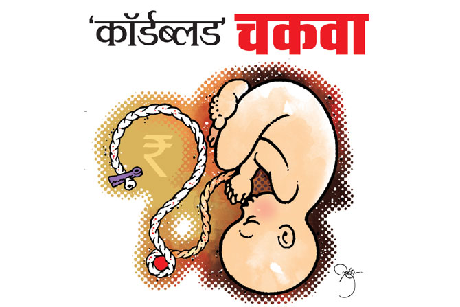 ‘कॉर्डब्लड’चकवा ‘कॉर्डब्लड’चकवा