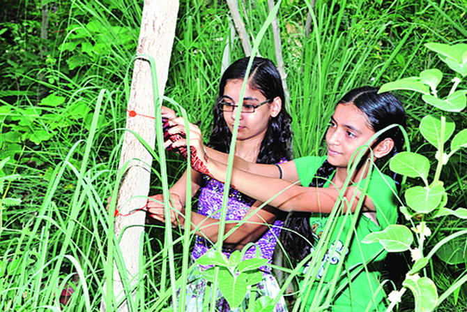 जन्मल्या मुली, लागली झाडं