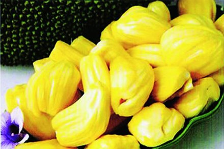 आहारवेद – फणस