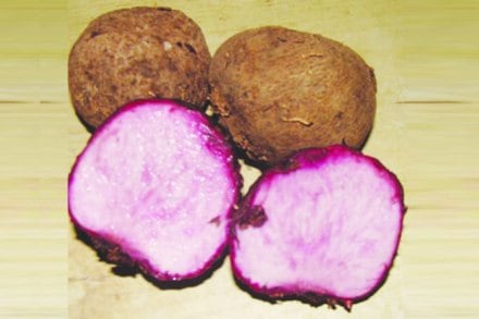 कोनफळ