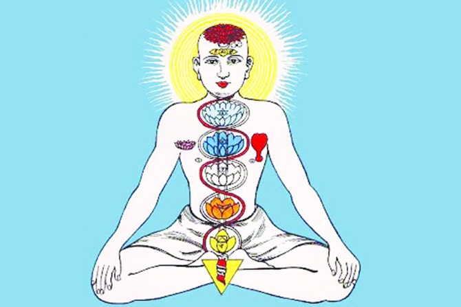 नादचैतन्याची मोहोळे षट्चक्रे