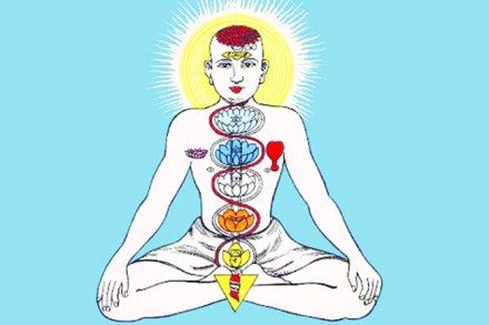 नादचैतन्याची मोहोळे षट्चक्रे