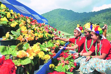 सिक्कीमचे ‘सेंद्रिय’पाऊल!