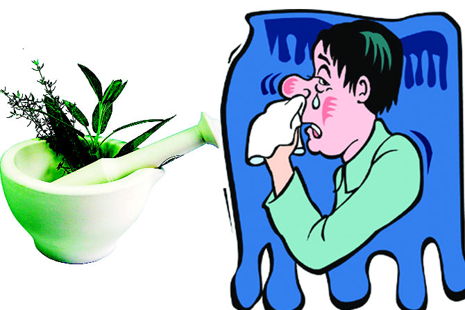 आयुर्वेद मात्रा : घोळणा फुटणे (नासारक्त) आयुर्वेद मात्रा : घोळणा फुटणे (नासारक्त)