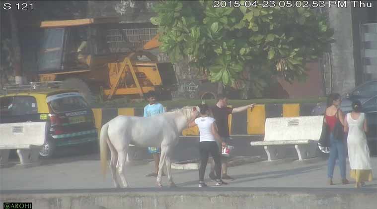 …अन् लग्नमंडपातून पायल पळाली