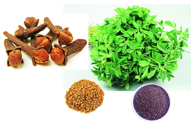 मसाल्याच्या पदार्थाचे गुणधर्म मसाल्याच्या पदार्थाचे गुणधर्म