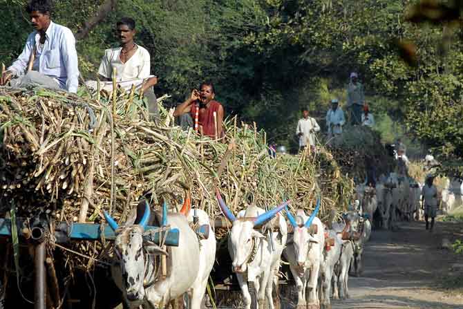 एफआरपी तुकडय़ांनी देण्यास पाठबळ एफआरपी तुकडय़ांनी देण्यास पाठबळ