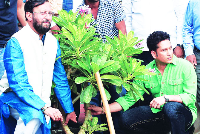 पर्यावरण साक्षरता गरजेची! पर्यावरण साक्षरता गरजेची!