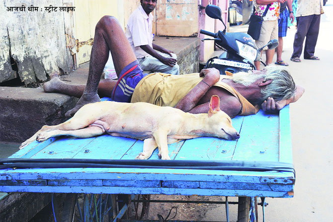 क्लिक : विनोद कामत,