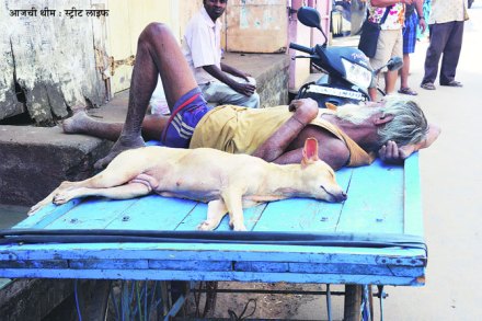 क्लिक : विनोद कामत,