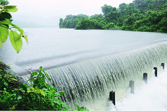 राज्यात ४९ टक्के पाणीसाठा राज्यात ४९ टक्के पाणीसाठा