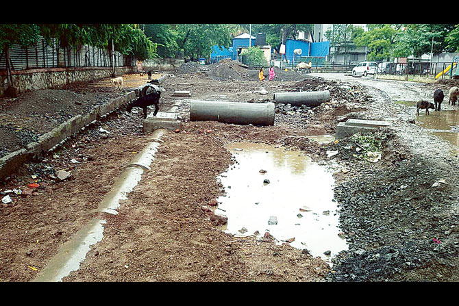 मुंबईतील सर्वच रस्त्यांच्या देखभालीची जबाबदारी पालिकेकडे !