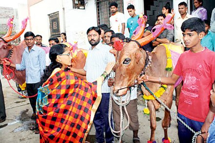 ‘बेंदुर’वर रुसलेल्या पावसाचे सावट ‘बेंदुर’वर रुसलेल्या पावसाचे सावट