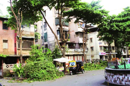 शहरांचा विकास झाडांच्या मुळावर शहरांचा विकास झाडांच्या मुळावर