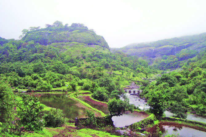 भीमाशंकरची जंगलवाट भीमाशंकरची जंगलवाट