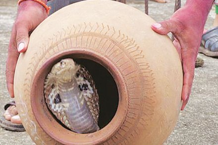 जावडेकर, तुमची शाळा कोणती? जावडेकर, तुमची शाळा कोणती?