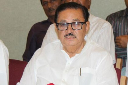 NCP leader , Madhukar pichad , SC , Caste certificate case , Loksatta, Loksatta news, Marathi, Marathi news