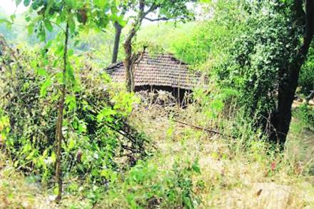 मुंबईतील आदिवासी पाडे उजळणार मुंबईतील आदिवासी पाडे उजळणार