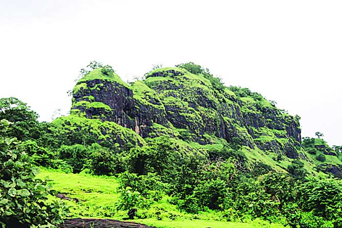 ट्रेक डायरी : मृगगड पदभ्रमण