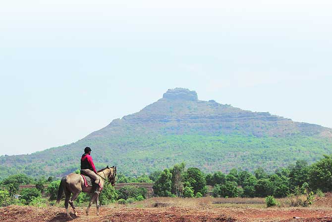 भटक्यांची ‘घोडदौड’ भटक्यांची ‘घोडदौड’