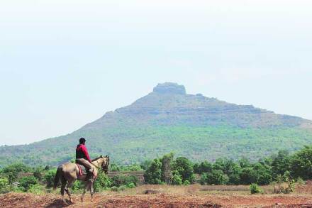 भटक्यांची ‘घोडदौड’ भटक्यांची ‘घोडदौड’
