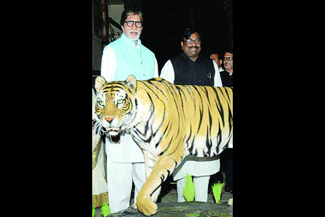 अमिताभ बच्चन यांची वाघ बचाओ मोहीम