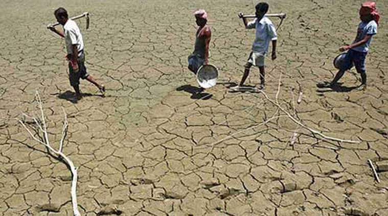 जिल्हय़ात दुष्काळ जाहीर करा जिल्हय़ात दुष्काळ जाहीर करा