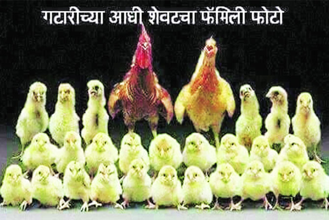 काहीही हं..