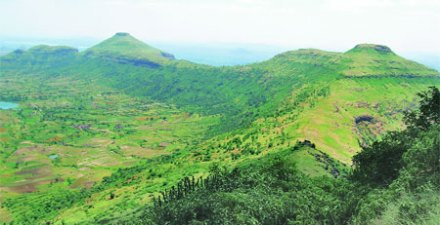 चर्चा : मॅगी, कुरकुरे आणि आई…