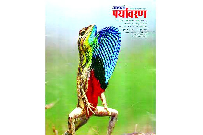 वाटचाल : निसर्गअभ्यासाकडून पर्यावरण जतनाकडे