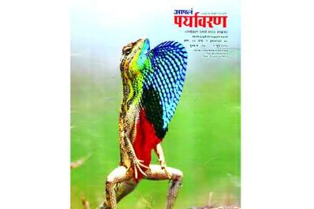 वाटचाल : निसर्गअभ्यासाकडून पर्यावरण जतनाकडे