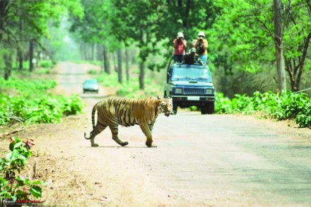 ‘सिंहस्थ २०१६’ साठी पुण्याच्या पर्यटकांसाठी विशेष पॅकेजेस ‘सिंहस्थ २०१६’ साठी पुण्याच्या पर्यटकांसाठी विशेष पॅकेजेस