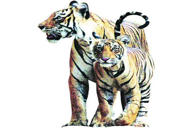 सह्याद्री व्याघ्र प्रकल्प क्षेत्रातील नियमांची माहिती देण्याच्या सूचना सह्याद्री व्याघ्र प्रकल्प क्षेत्रातील नियमांची माहिती देण्याच्या सूचना