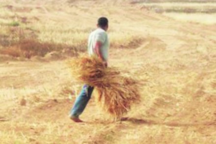 पिण्याचे पाणी, चाराटंचाईचा प्रश्न पेटण्याची चिन्हे पिण्याचे पाणी, चाराटंचाईचा प्रश्न पेटण्याची चिन्हे